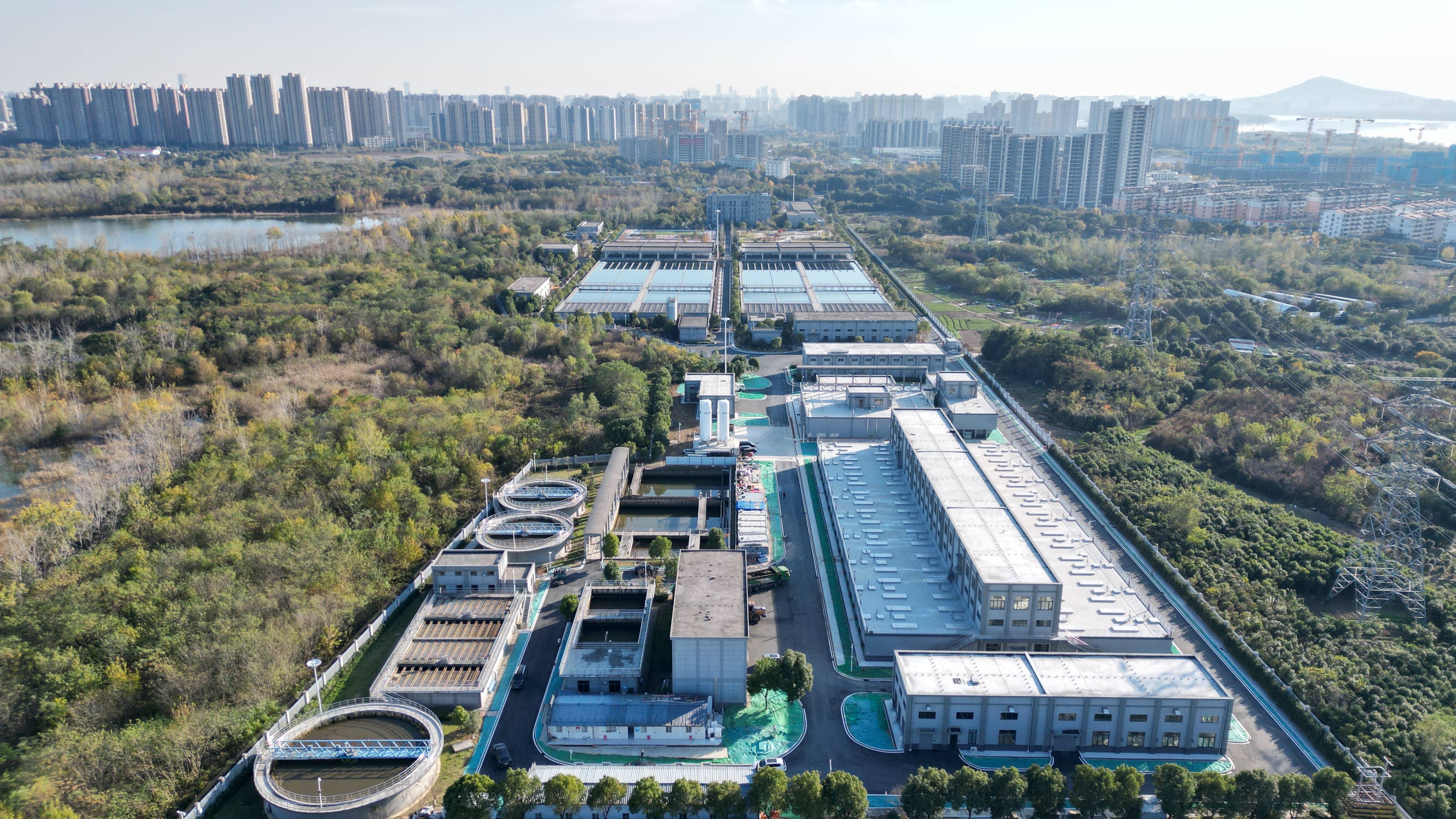 鹰潭市合肥专业企业价值增长(合肥市重点企业产业目录)