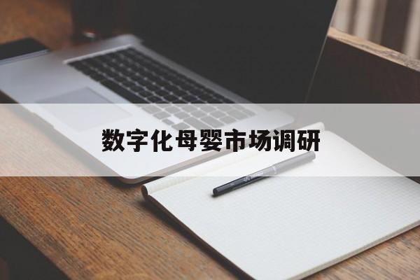 鹰潭市数字化母婴市场调研(数字化母婴市场调研报告)